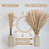 CKBT 300 PCS Dried Pampas Grass Decor, Dried Flower Bouquets for Wedding, Home, Centerpiece Table, Modern Home, Western