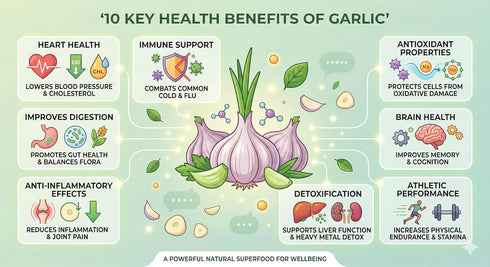Bulbs, (8) Garlic Seed Large Cloves, Cold Hardy, Bold Flavor