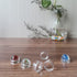 (48 Pack) Baseball Display Stand, Clear Baseball Ring, Round Display Stand for Golf Ball, Softball, Marbles