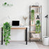6Pcs Der Rose Fake Hanging Plants Artificial Vines Faux Hanging Plants Indoor for Bathroom Kitchen Wall Bookshelf