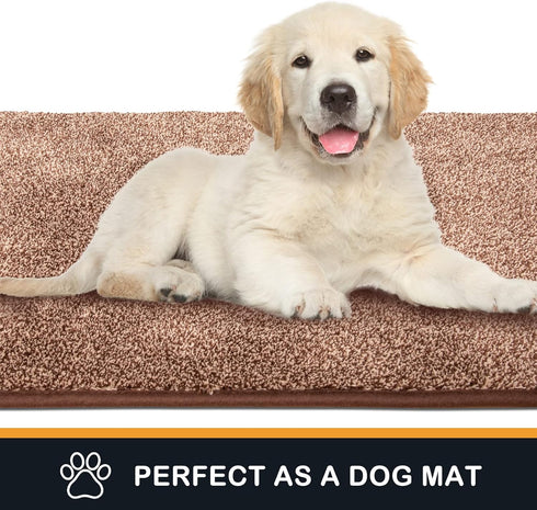 PURRUGS 20"x31.5" Non-Slip Machine Washable Doormat - Super Absorbent Entry Rug for Front & Back Doors