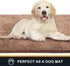 PURRUGS 20"x31.5" Non-Slip Machine Washable Doormat - Super Absorbent Entry Rug for Front & Back Doors
