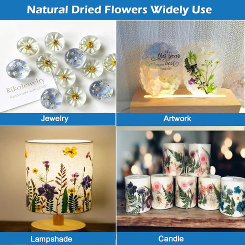 Flowers for Resin Model, Real Pressed Flowers Dry Leaves Bulk Natural Herbs Kit for Scrapbooking DIY Art