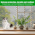 15.7IN 33FT,Plastic 100 Black Plastic Chicken Wire mesh x Chicken Wire Fencing,Poultry Netting,Plastic mesh