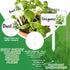 24Pcs 12 Summer JarThenaAMCS Acrylic Plant Label Signs Styles T-Type Herb Garden Markers Waterproof Reusable Plant