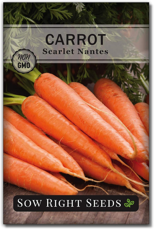 Sow Right Seeds - Scarlet Nantes Carrot Seed for Planting - Non-GMO