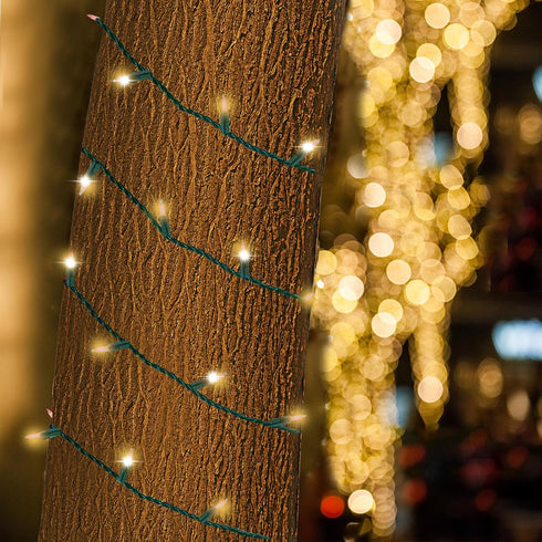 Heyworld 75 37 75 28 3 Sets Slow Twinkle Lights LED Gentle Twinkling Christmas Lights, UL Certified Waterproof String