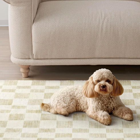 EVERGRACE Checkered Plaid Area Rug 2x3, Soft Fuzzy Faux Wool Washable Anti Slip Small Rug for Entryway Bedroom