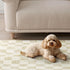 EVERGRACE Checkered Plaid Area Rug 2x3, Soft Fuzzy Faux Wool Washable Anti Slip Small Rug for Entryway Bedroom