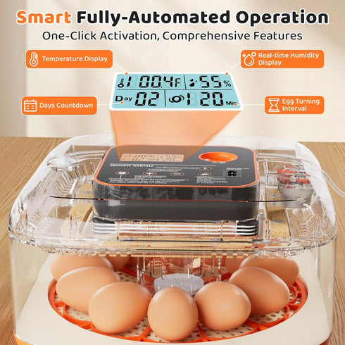 QVKHPCL 12 6 Incubators for Hatching Eggs Egg Digital Egg Incubator Precision Auto Temp Humidity Control Gear