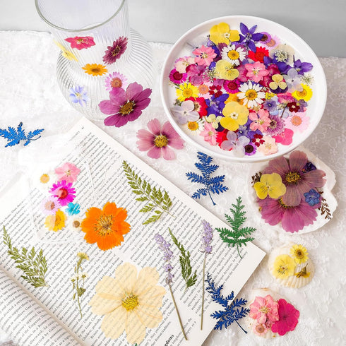 Gvhntk Dried Pressed Flowers Real Pressed Flowers Natural Dry Leaves Bulk Mixed Colorful Herbs Kit with Tweezers