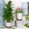 LASZOLA Black Plant Stand for Single Large Outdoor Indoor Pot, Heavy Duty