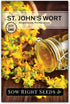 Sow Right Seeds - St Johns Wort Seeds for Planting - Non-GMO