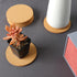Tivnhuils 6Pcs Cork Coasters Set, 3.9 Inch Desk Coaster for Cup and Plant