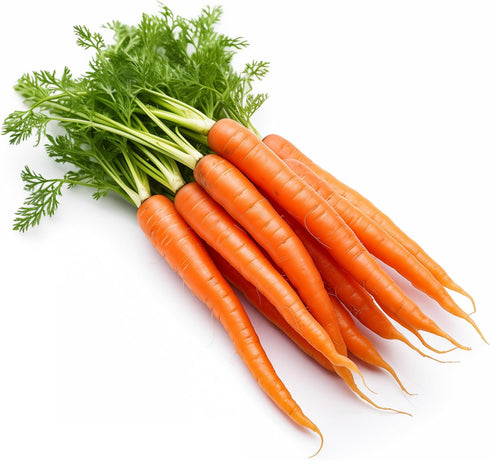 1000 Tendersweet Carrot Seeds for Planting - Heirloom, Non-GMO, USA Grown -
