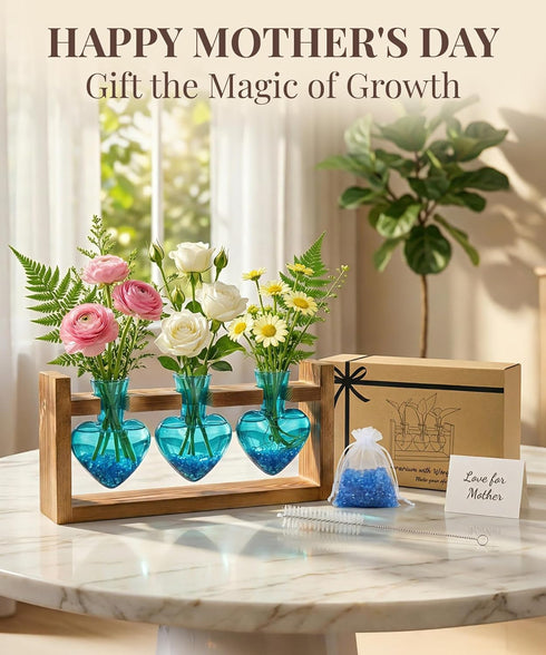 3 Bulb Nacome Plant Terrarium Propagation Stations: Mothers Day Gifts for Mom Plant Lovers Women Wife Daughter - Glass