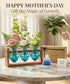 3 Bulb Nacome Plant Terrarium Propagation Stations: Mothers Day Gifts for Mom Plant Lovers Women Wife Daughter - Glass