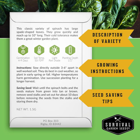 10" (1 Pack) Viroflay Spinach Seeds for Planting Giant Heirloom Variety with Tender Sweet Leaves Fast Growing Cold