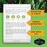 10" (1 Pack) Viroflay Spinach Seeds for Planting Giant Heirloom Variety with Tender Sweet Leaves Fast Growing Cold