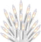 Holiday Essence 20 Ft Clear Warm White Christmas String Lights Set, 100 Decorative Lights for Indoor Outdoor Use