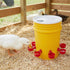30 Pack 3/8 Inch Cedilis Chicken Water Cup, Automatic Drinking Cups for Chickens, Thread Poultry Water Cups, Chicken