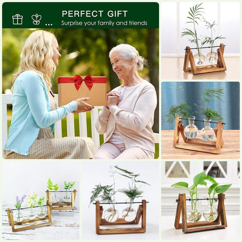 (2 Bulbs) Kingbuy Glass Desktop Planter with Retro Wooden Stand and Plant Terrarium vase for Indoor Office Desk Decor