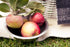 Fox Run Brands 1/2-Quart Mixing Bowl, Stainless Steel, Silver