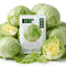 500 Iceberg Lettuce Seeds for planting - Heirloom Non-GMO USA Grown Premium