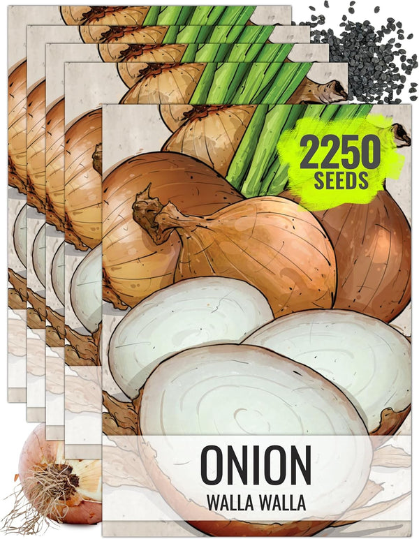 Seed Needs Onion Seeds for Planting Walla Walla Long Day Onions -