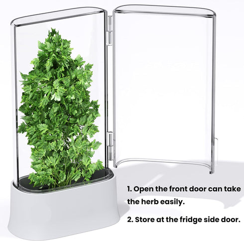 Vacane Herb Keeper for Refrigerator, Fresh Herb Saver Containers for Cilantro and Asparagus, Dishwasher Safe