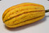 Seedville 50 Delicata Squash Striped Sweet Potato Cucurbita Pepo Vegetable Seeds