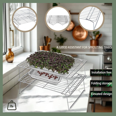 2-Tier 14 inch Sprouts Growing Rack Shelf, Metal Foldable Plant Stand for Sprouting Tray Indoor, Seed Starting Tray