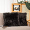 HYSEAS Set of 2 Decorative Faux Fur Throw Pillow Covers, Black Fluffy Soft Cushion Cover for Sofa, 18 x 18 Inches