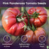 Pink Ponderosa Heirloom Tomato Seeds - Large Tomato - One of the Most Delicious Tomatoes for Home Growing, Non GMO