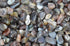 1/2 lb Tumbled Grey Botswana Agate Stones from Africa - Fantasia Materials, 1" to 1.25" avg. (Size #7)