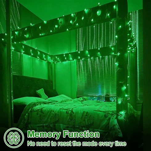 2 Pack 33ft 100 8 QITONG String Lights Battery Operated, Each LED Green Christmas Lights Outdoor Waterproof, Modes