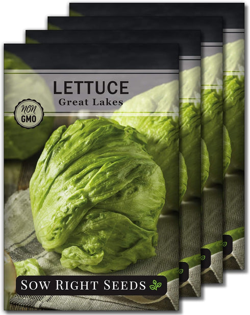 Sow Right Seeds - Great Lakes Iceberg Lettuce Seeds for Planting -