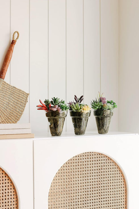 18 Pack Artificial Succulent Plants, Premium Fake Plants, Realistic Textured Cactus Decor