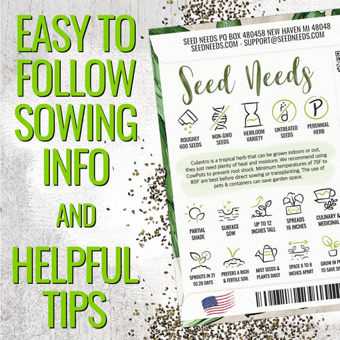 (1 Pack) Seed Needs Culantro Seeds for Planting Mexican Coriander - Non-GMO Heirloom & Untreated Culinary/Medicinal