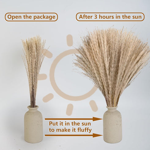 CKBT 610 PCS Dried Pampas Grass Decor, Dried Flower Bouquets for Wedding, Home, Centerpiece Table, Modern Home, Western