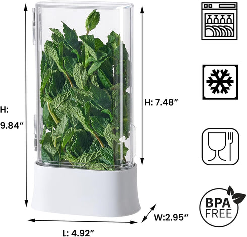Vacane Herb Keeper for Refrigerator, Fresh Herb Saver Containers for Cilantro and Asparagus, Dishwasher Safe