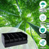 GTI Belt Organizer - 5 Compartments for Closet and Drawer, Bamboo Display Case for Tie and Belt