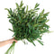 WILLBOND 8 Bundles Faux Olive Branches, 43 Inch Tall Greenery Stems for Vases, Fake Plant for Floral Arrangement