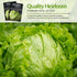 (1 Pack) Iceberg Lettuce Seeds for Planting Crisp Head Lettuce Variety with Crunchy Texture and Sweet Flavor, High