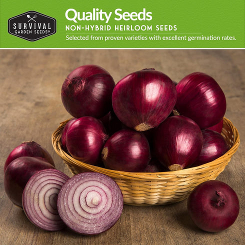 3 Short Day Onion Seeds Variety Collection Red Burgundy, White Grano & Tokyo Long White Bunching Onion Seed