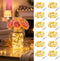 Minetom 12 Pack Fairy Lights Battery Operated String Lights 8 Modes, 7ft