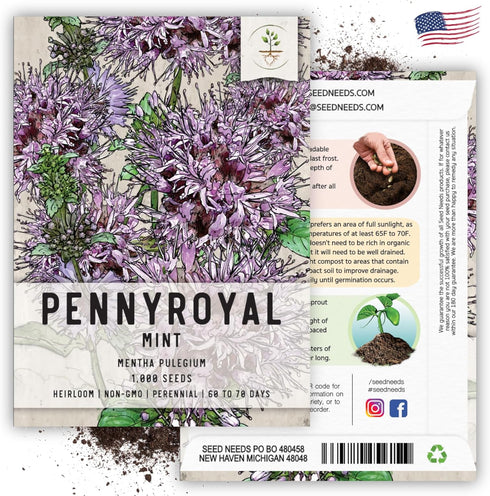 1,000 (1 Pack) Seed Needs, Pennyroyal Mint Seeds - Heirloom Seeds for Planting Mentha pulegium - Medicinal Herb Non-GMO