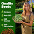 56+ HOME GROWN Contender Bush Bean Seeds Heirloom Non-GMO, High Germination, Stringless Green Beans for Planting, Early