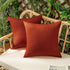 Woaboy Set of 2 Burnt Orange Outdoor Waterproof Throw Pillow Covers, Decorative Farmhouse Cushion Cases, 16x16 Inch