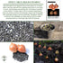 300+ Bulbs Riverside Sweet Spanish Onion Seeds (Allium cepa) Heirloom Non-GMO Seeds by Islas Garden Seeds, Large Mild